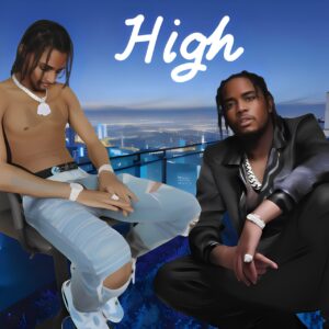 High Stems (WAV/MP3) + Individual Tracks (Pre-Mix) + Commercial Use License