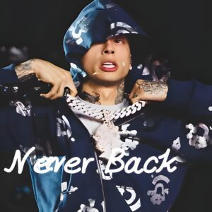 Never Back (WAV/MP3) + Stems + Commercial License