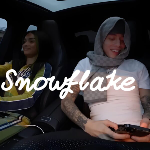 Snowflake (WAV/MP3) + Individual Tracks (Pre-Mix) + Commercial Use License